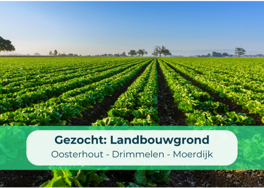 https://www.klijsen.nl/files/ItemFields/cropped/540x385/landbouwgrond-gezocht.png