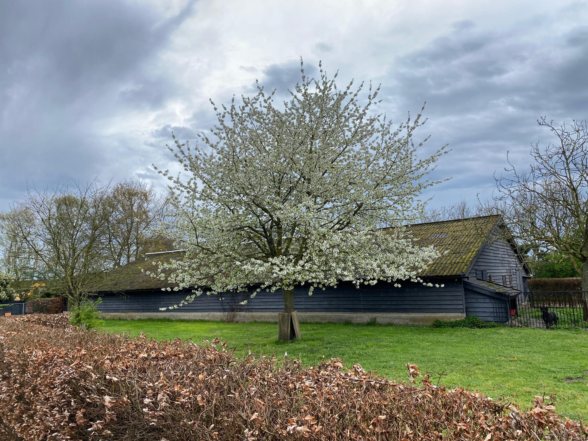 Omloop 6 A 5126 NW GILZE