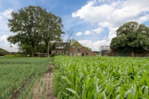 Agrarisch Object Afbeelding 5