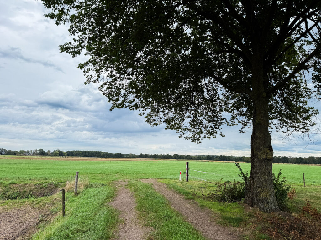Agrarisch Object Afbeelding 5
