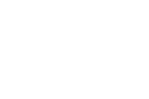 logo-nvm